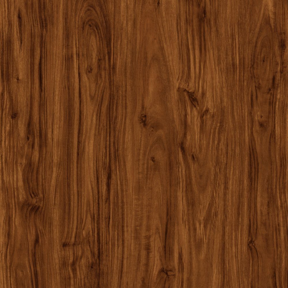 RCV51 SUNLIGHT MARINA - Image 2