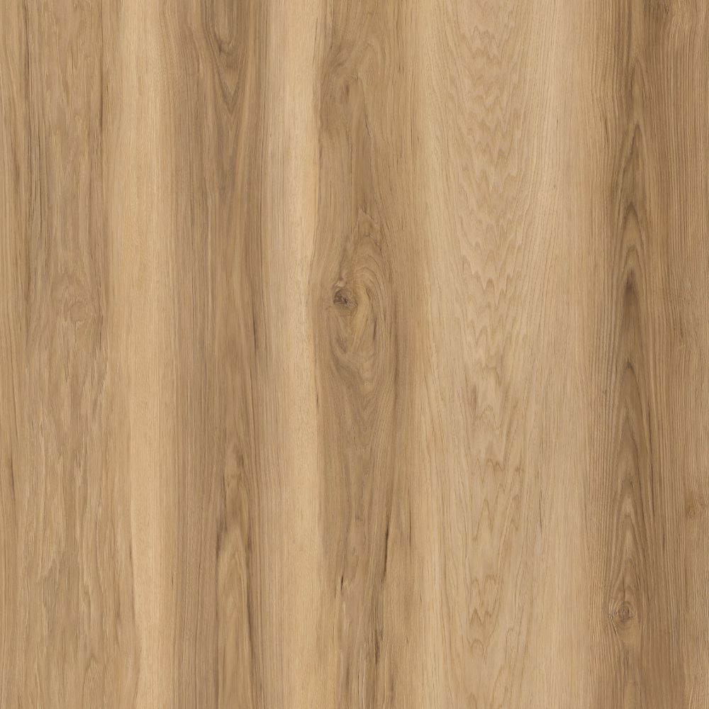 RCV70 TIKI WATERS - Image 3